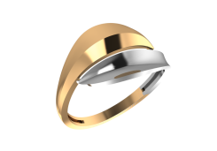 Золотое кольцо 