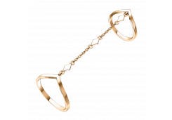 Золотое кольцо 