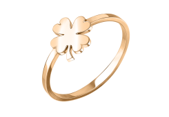 Золотое кольцо 