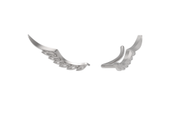 Серебряные cерьги классические