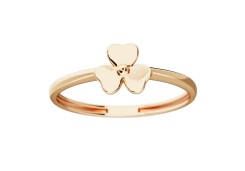 Золотое кольцо 