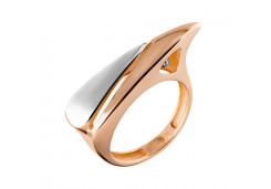 Золотое кольцо 