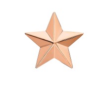 Звезда д/погон из золота 