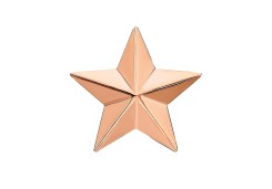 Звезда д/погон из золота 