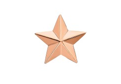 Звезда д/погон из золота 