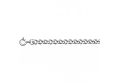 Серебряная цепь 