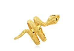 Золотое кольцо змея